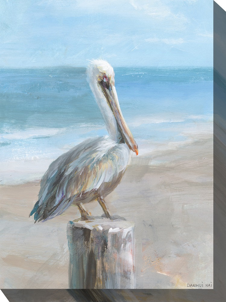 Pelican Portrait Outdoor Art